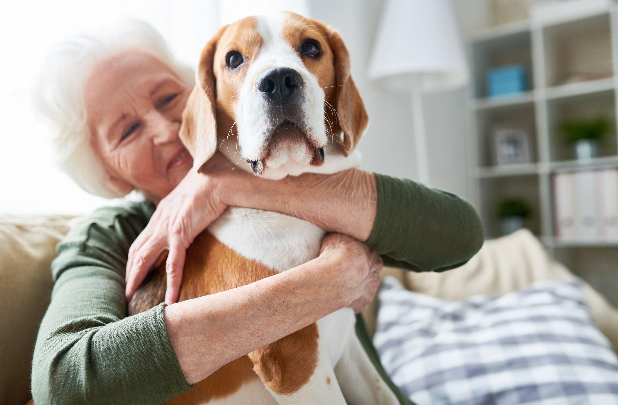 pets in aged care