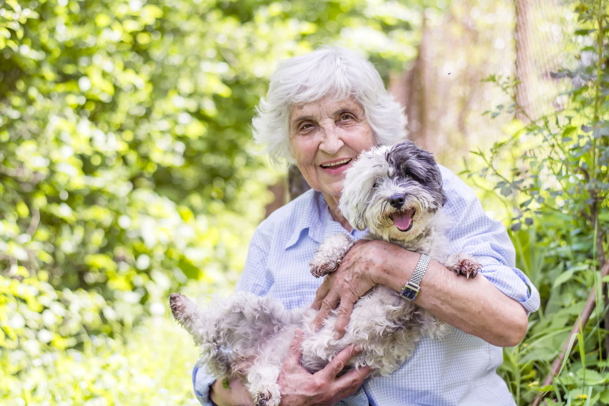 older-lady-with-dog