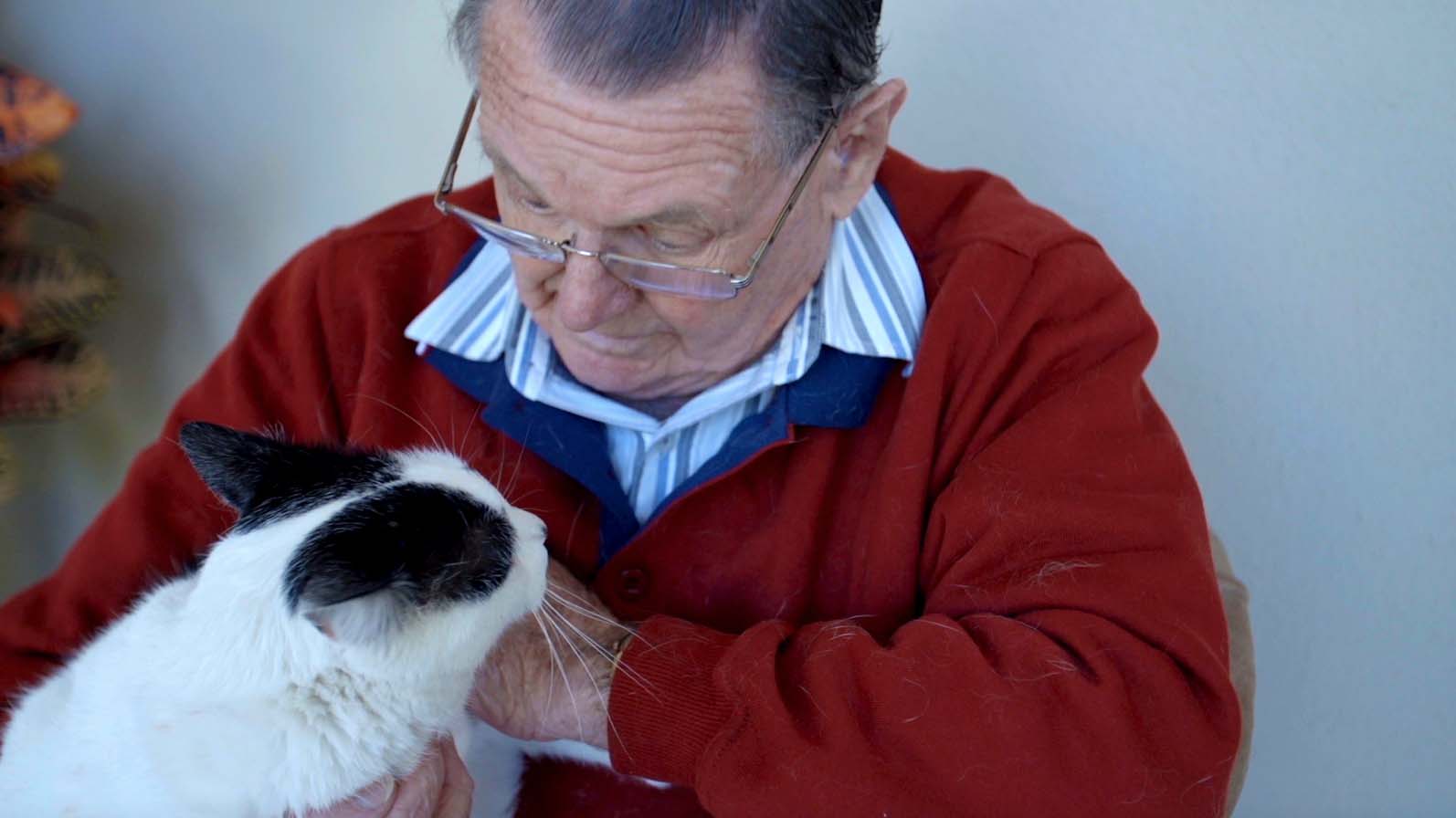 pets and seniors