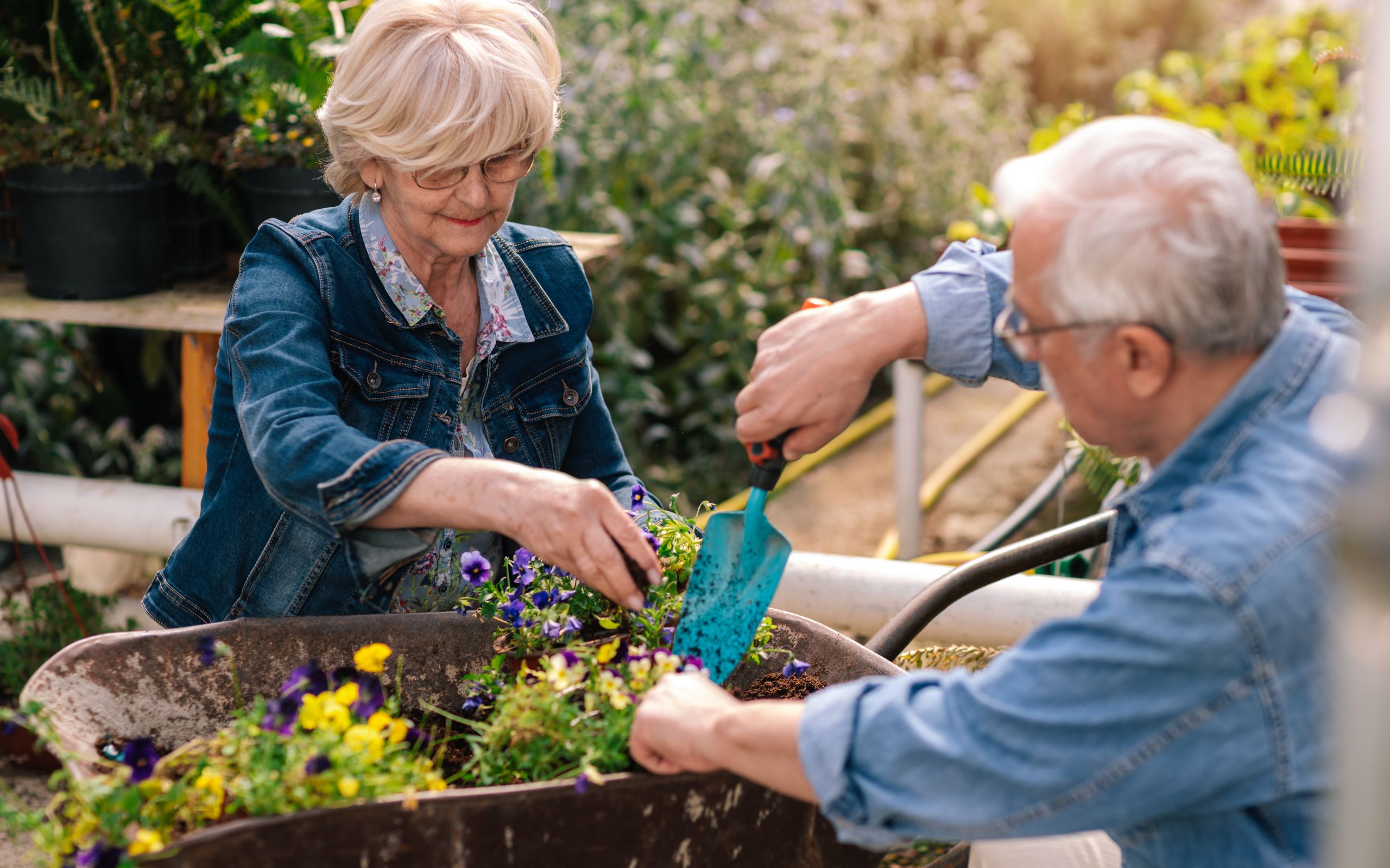 gardening tips for seniors