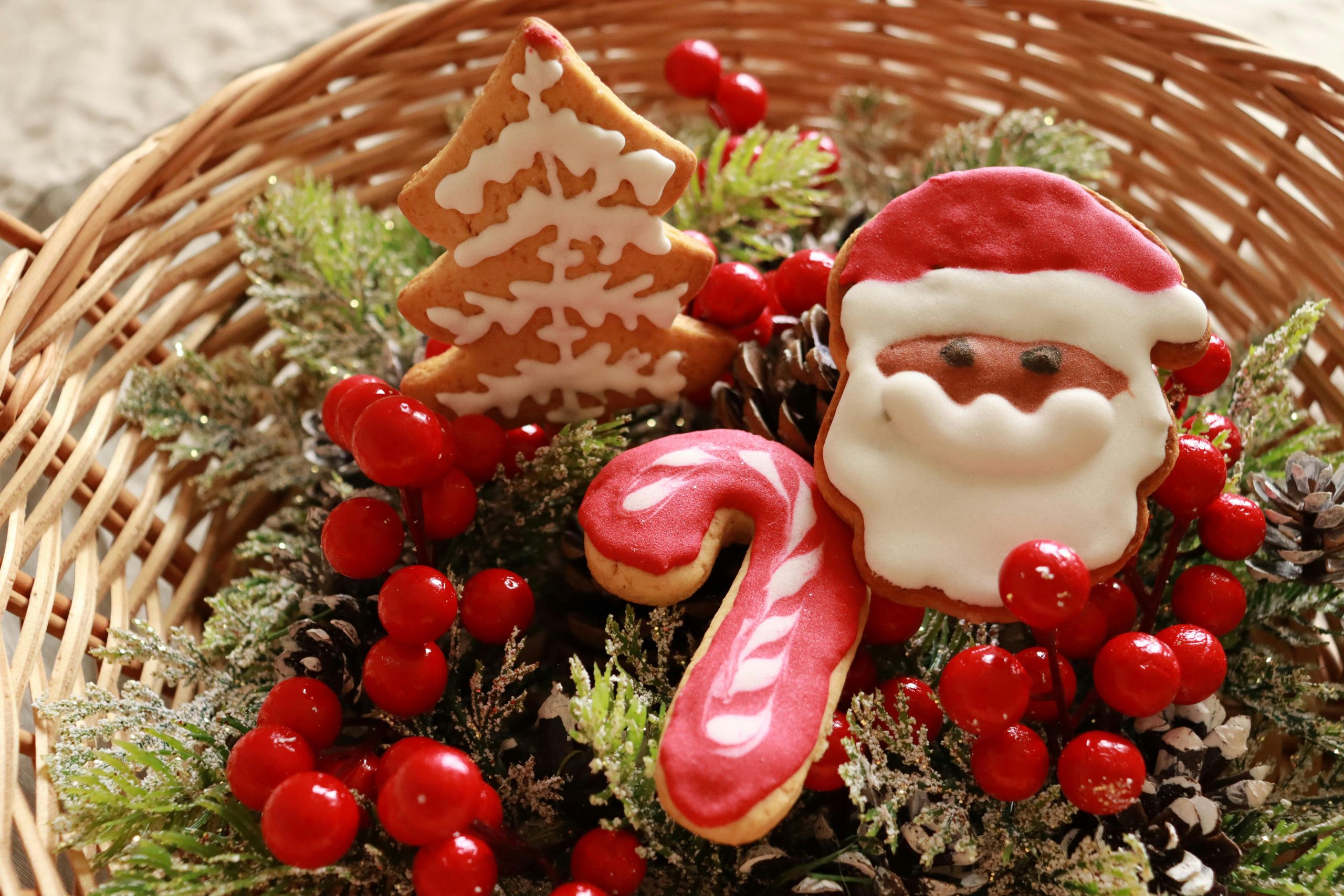 loved ones in aged care