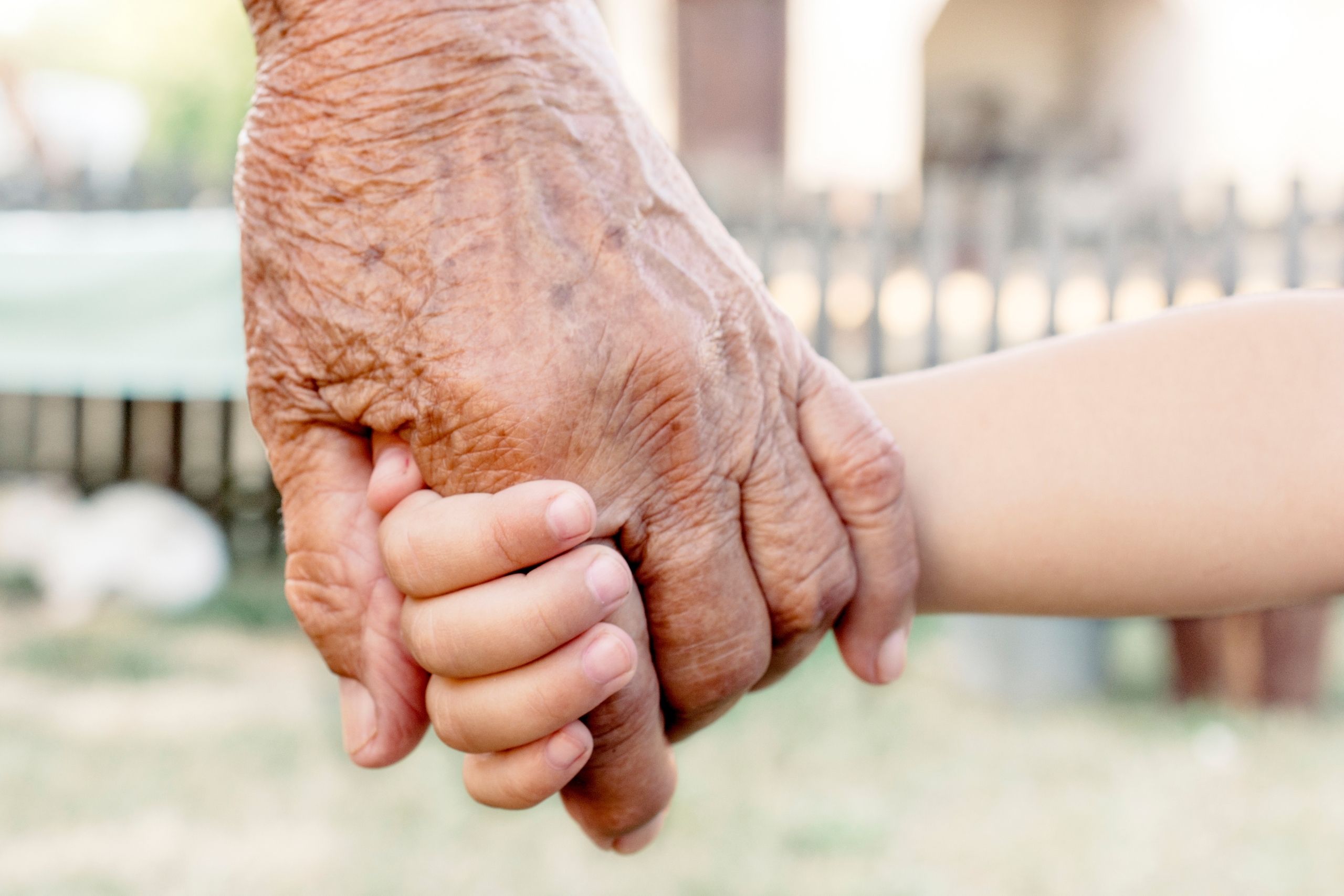 intergenerational connections